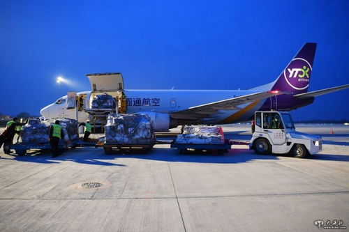 甘肅貨運(yùn)專機(jī)滿載防疫物資馳援武漢 彰顯空中運(yùn)輸力量